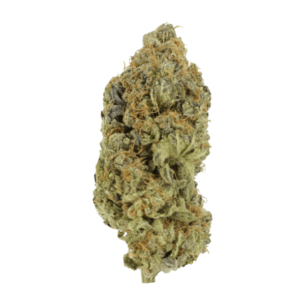 Critical Widow | Budderweeds Canada
