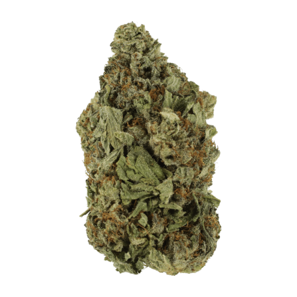 Shishkaberry | Budderweeds Canada