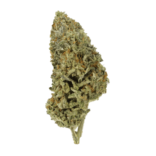 Super Silver Sour Diesel | Budderweeds Canada
