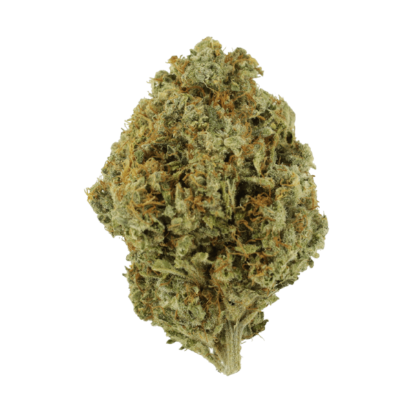 Orange Barb | Budderweeds Canada