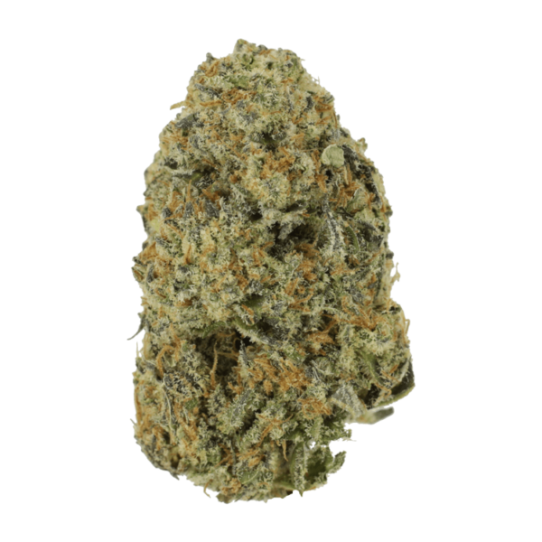Northern Haze Express | Budderweeds Canada
