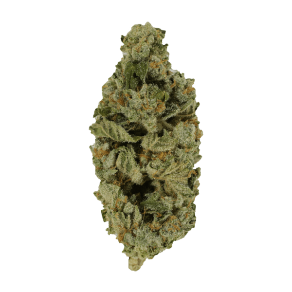Crazy Glue | Budderweeds Canada