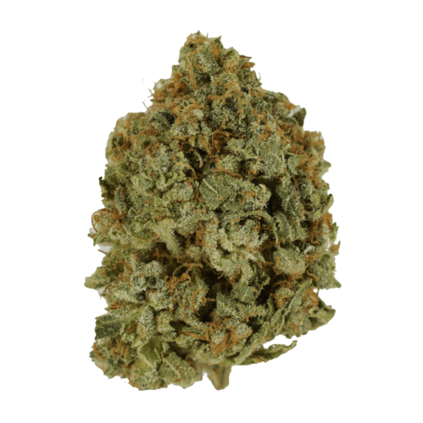 Crazy Glue | Budderweeds Canada