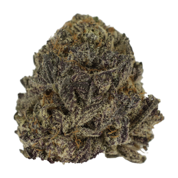 Hawaiian Snow | Budderweeds Canada