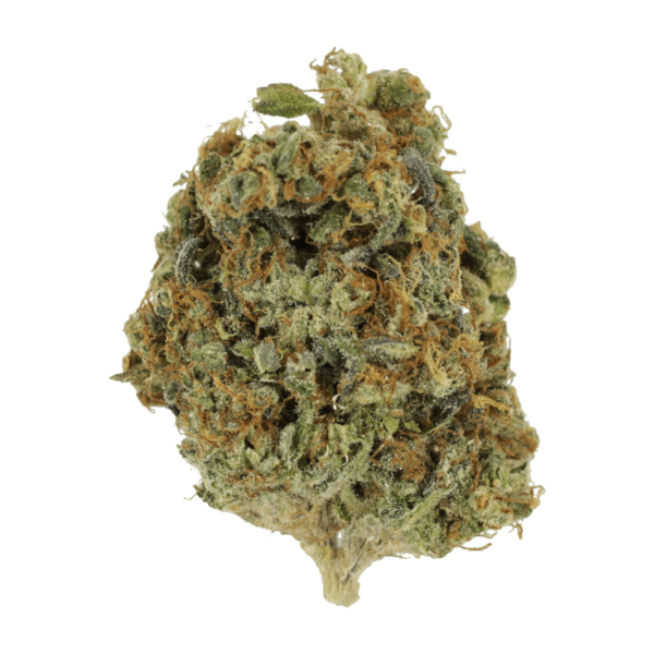 Sunset Sherbert | Budderweeds Canada