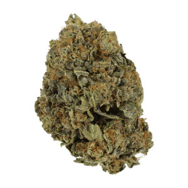 White Shark – 1 ounce | Budderweeds Canada