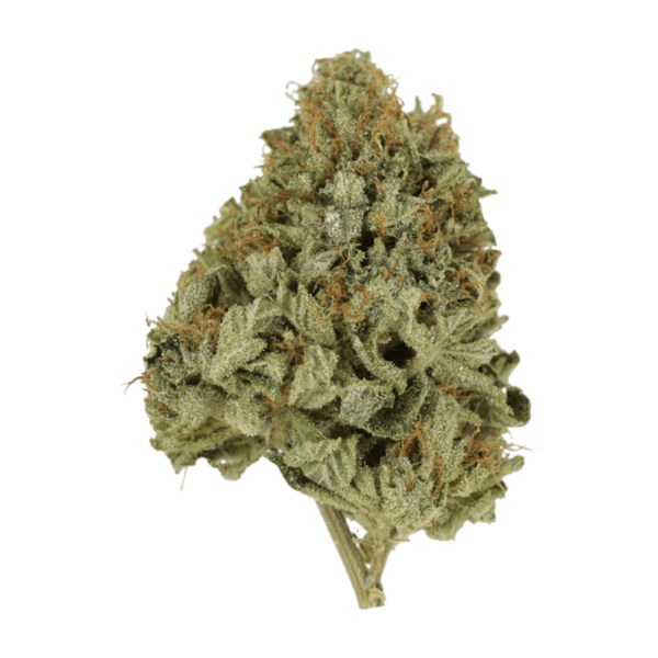 Pineapple Kush | Budderweeds Canada