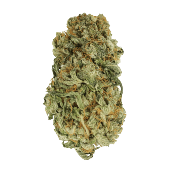 King Louis – 1 ounce | Budderweeds Canada
