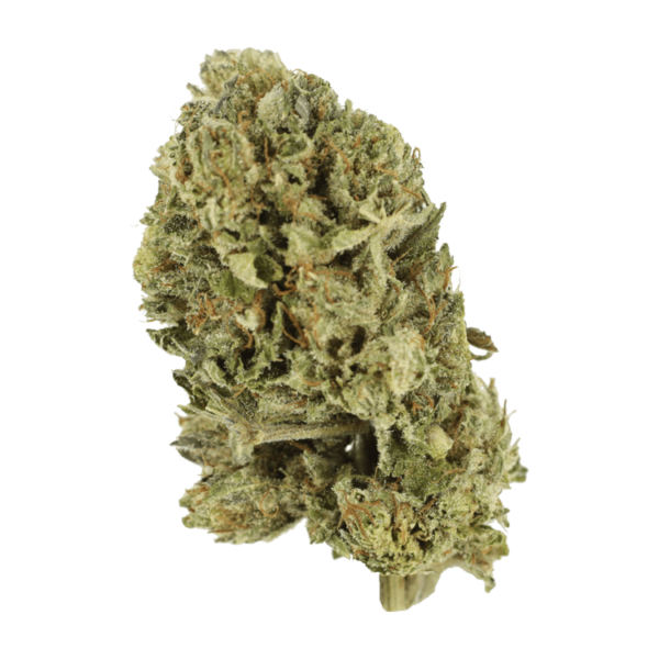 Purple OG Kush – 1 ounce | Budderweeds Canada