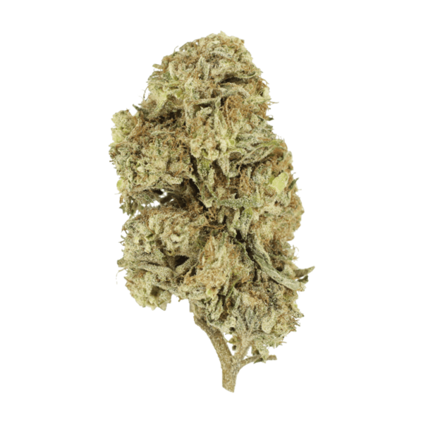Cherry Wine (CBD) | Budderweeds Canada