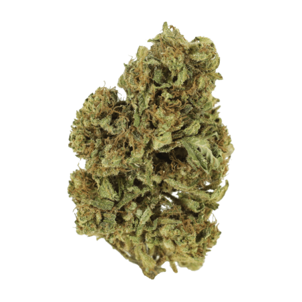 Cherry Wine (CBD) | Budderweeds Canada