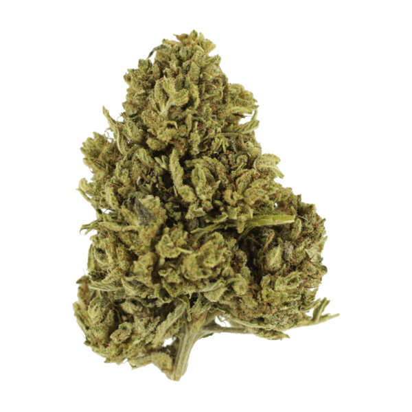 Cherry Wine (CBD) | Budderweeds Canada