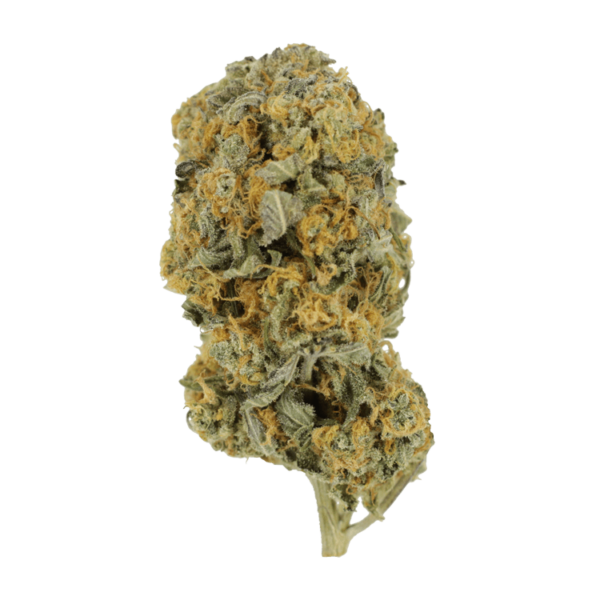 Sour Prince | Budderweeds Canada