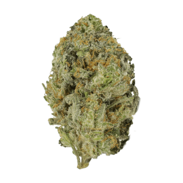 Skywalker OG | Budderweeds Canada