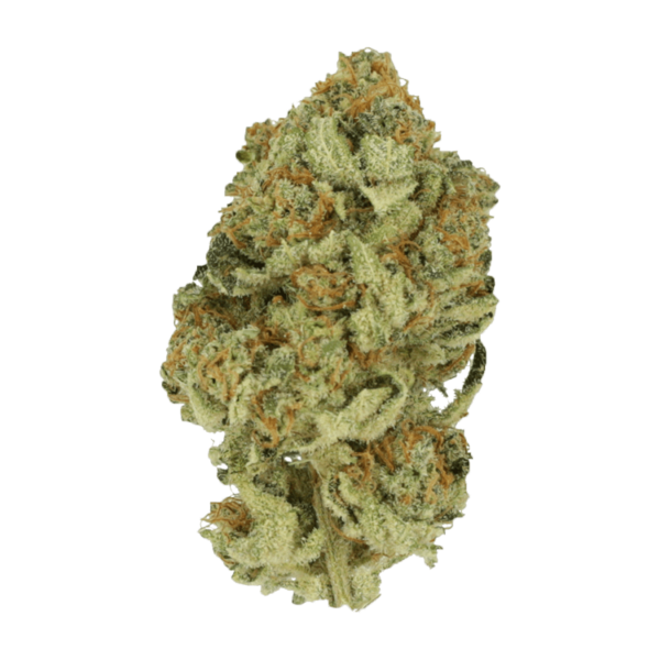 Black Cherry Punch | Budderweeds Canada