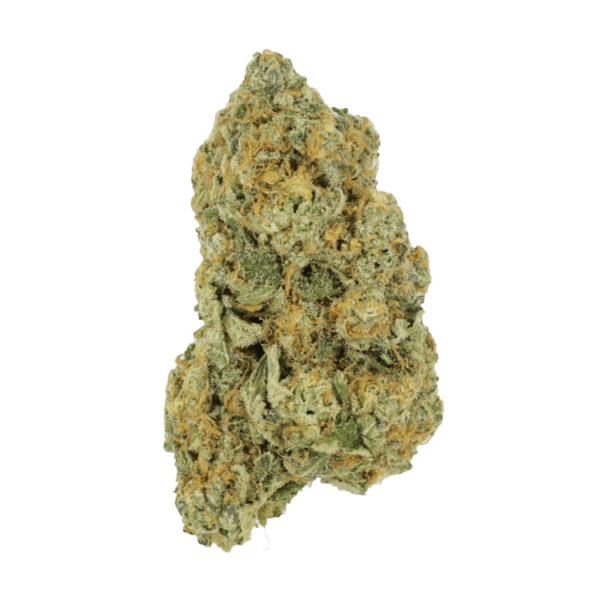 Black Cherry Punch | Budderweeds Canada