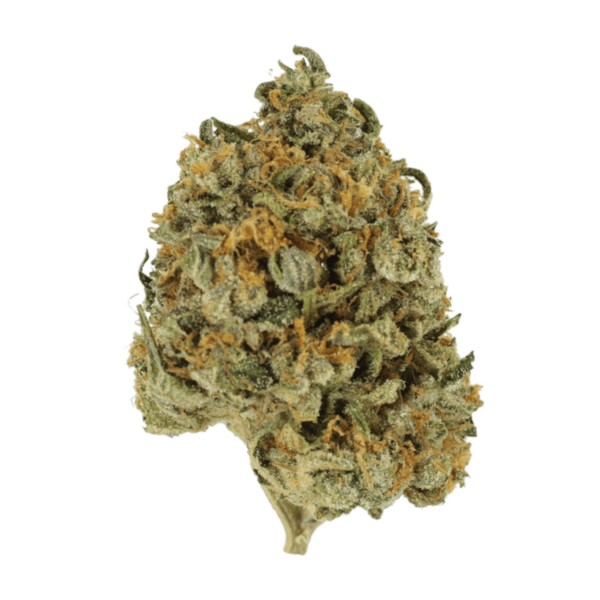 Banana Punch | Budderweeds Canada