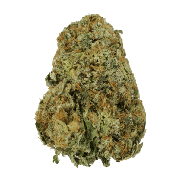 High School Sweetheart | Budderweeds Canada