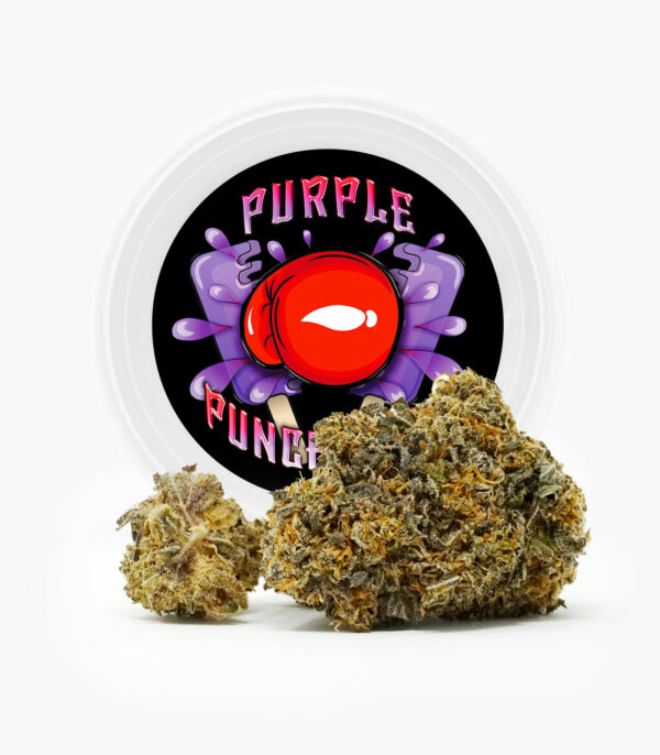 Westcoast Cali Tins – Premium Flower – Purple Punchsicle – 14g | Budderweeds Canada