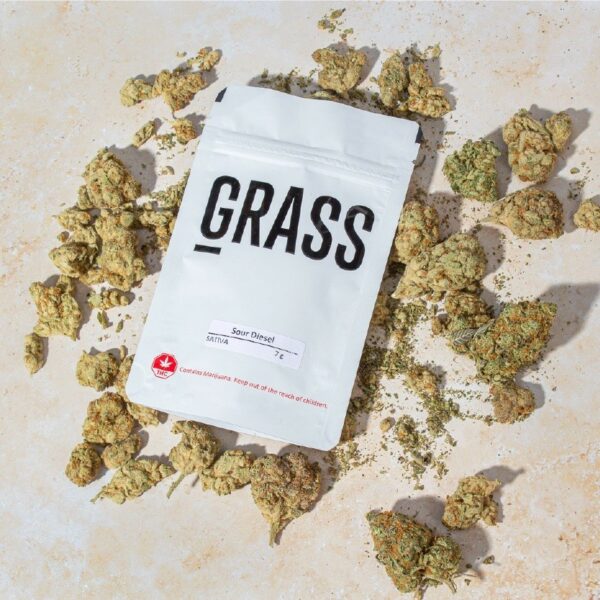 1/2OZ Sample Pack (AAA) – SAVE 20% | Budderweeds Canada