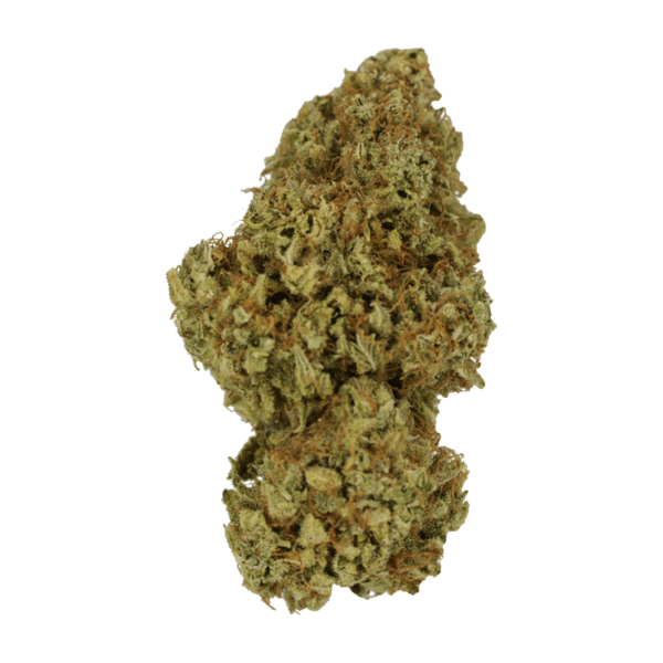 Sour Amnesia | Budderweeds Canada