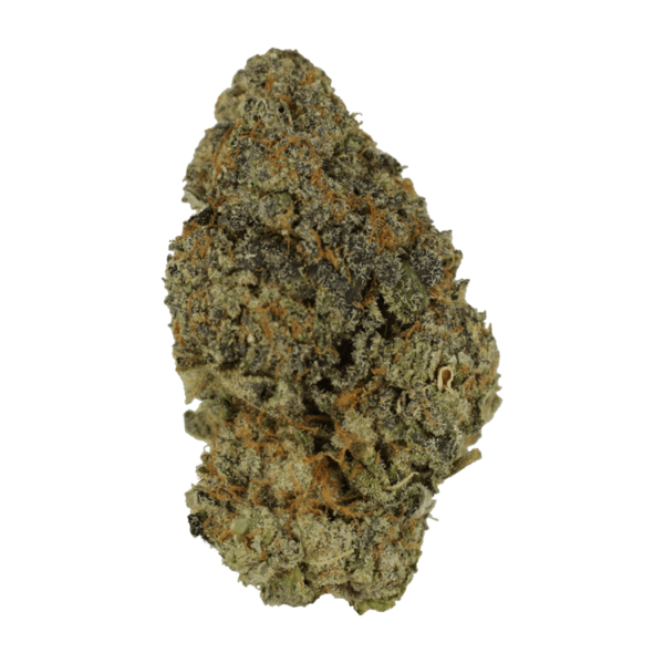 Sour Amnesia | Budderweeds Canada