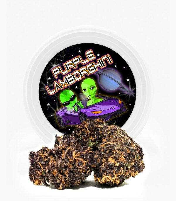 Westcoast Cali Tins – Premium Flower – Purple Lamborghini – 3.5g | Budderweeds Canada