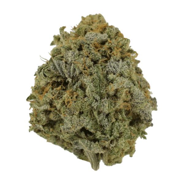Pink Tuna (Popcorn) – $40/oz | Budderweeds Canada