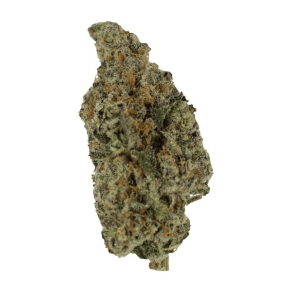 Biscotti Sundae | Budderweeds Canada