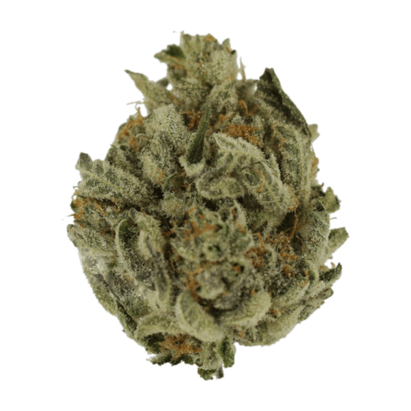 Biscotti Sundae | Budderweeds Canada