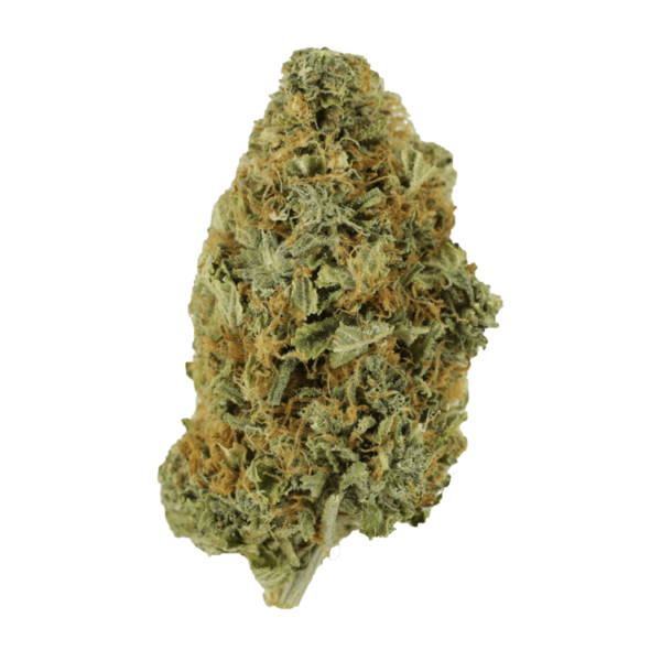 Purple Tuna – 1 ounce | Budderweeds Canada