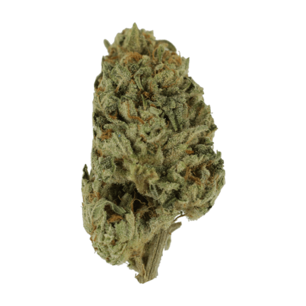 Biscotti Sundae | Budderweeds Canada