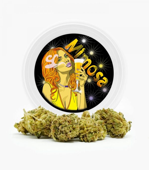 Westcoast Cali Tins – Premium Flower – Mimosa – 3.5g | Budderweeds Canada