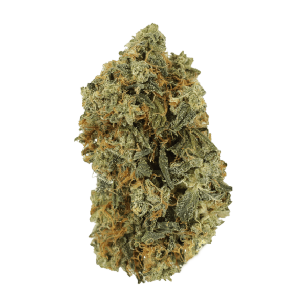 Blackwater | Budderweeds Canada