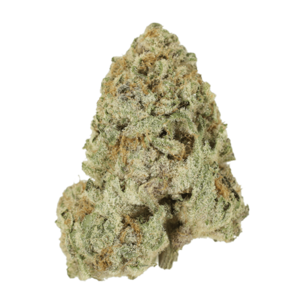 Dank Schrader | Budderweeds Canada