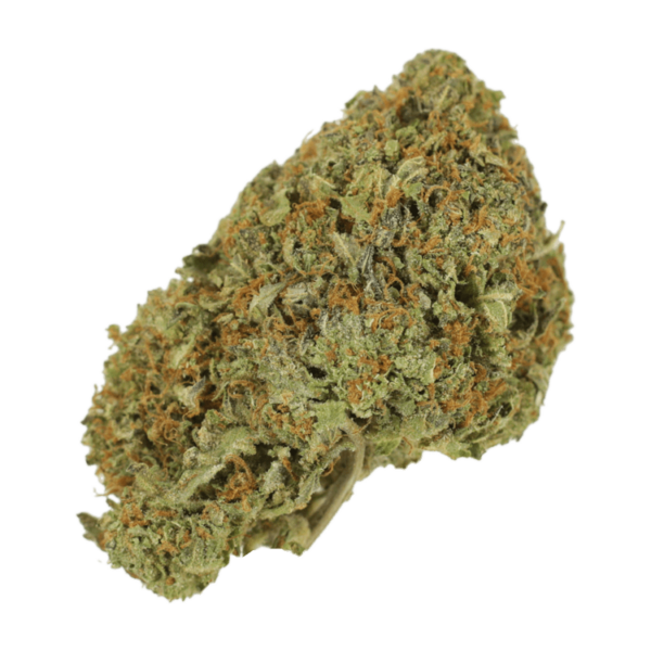 Garlic Breath – 1oz / $60 | Budderweeds Canada