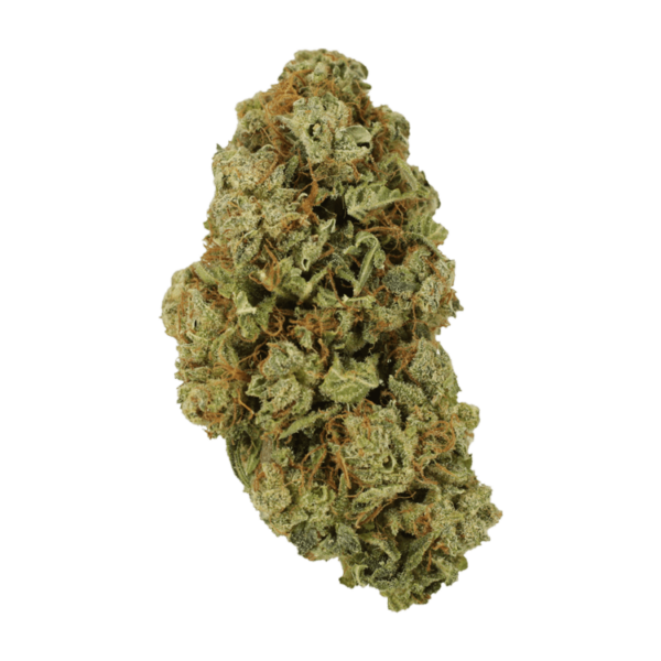 Sugar Pine | Budderweeds Canada