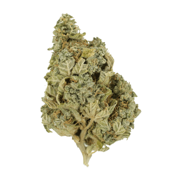 Khalifa Kush | Budderweeds Canada