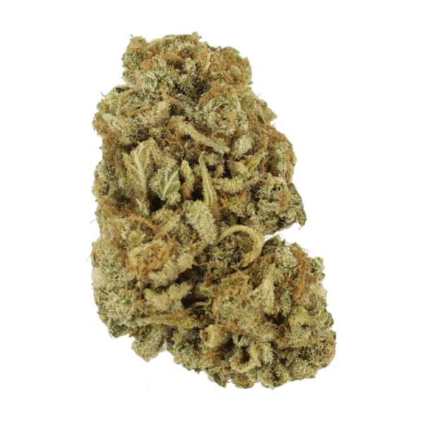 Blackwater | Budderweeds Canada