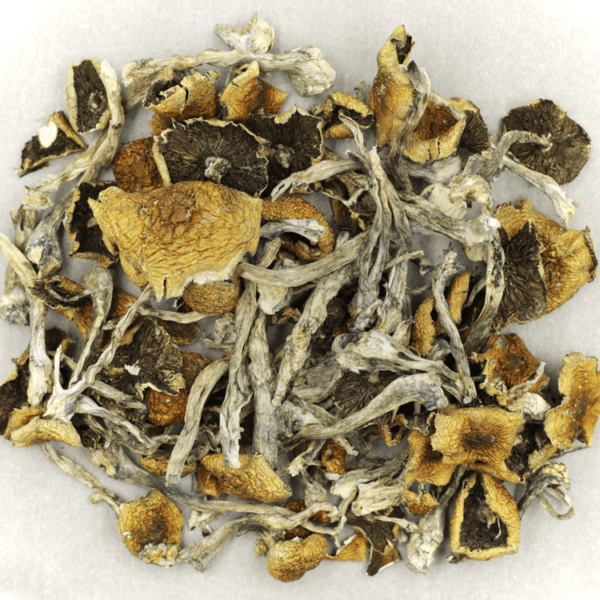Florida White | Budderweeds Canada