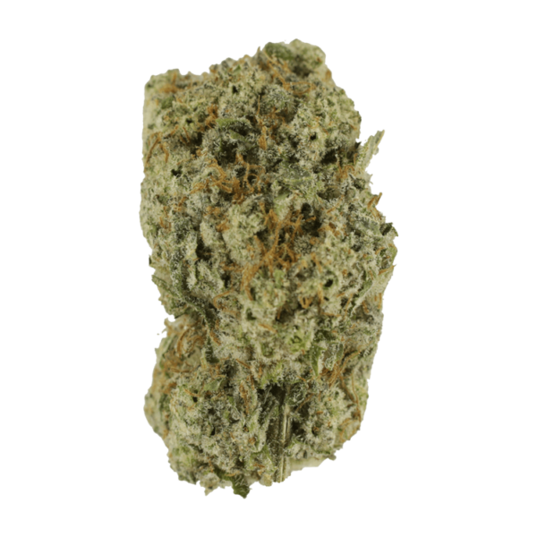 Eleven Roses | Budderweeds Canada