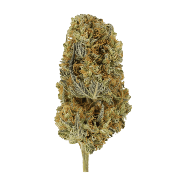 Headband | Budderweeds Canada
