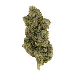 Jokerz | Budderweeds Canada