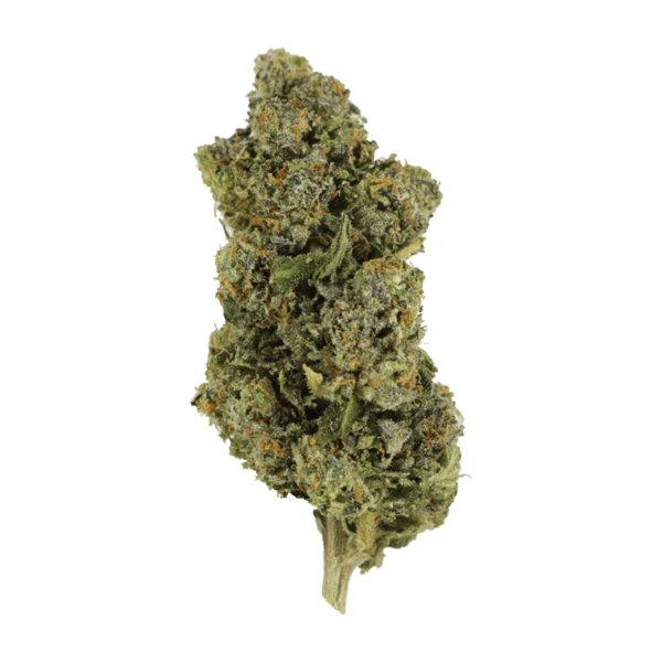 Jokerz | Budderweeds Canada