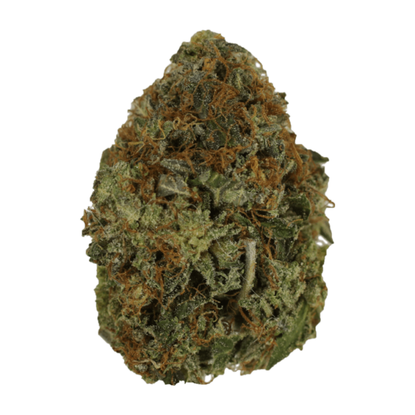 Orange Romulan | Budderweeds Canada