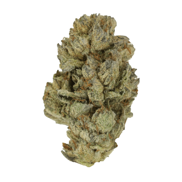 Pink Candy Kush | Budderweeds Canada