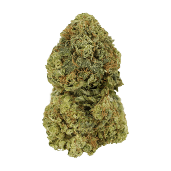 Critical Mass | Budderweeds Canada