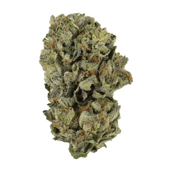 Cerebro Haze | Budderweeds Canada