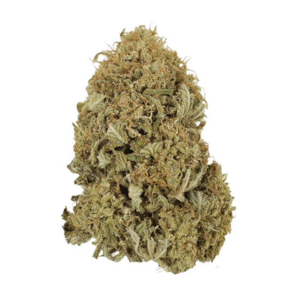 G13 | Budderweeds Canada