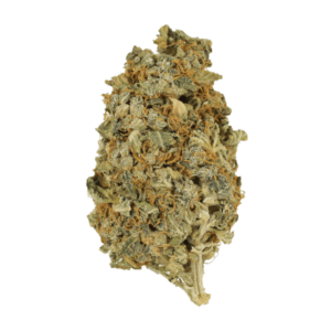 Mint Cookies | Budderweeds Canada